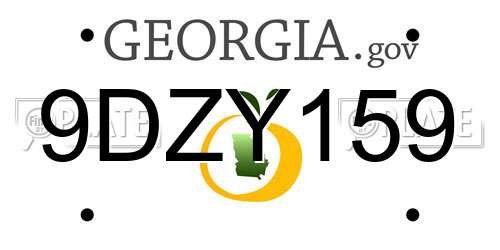 9DZY159 Georgia License Plate