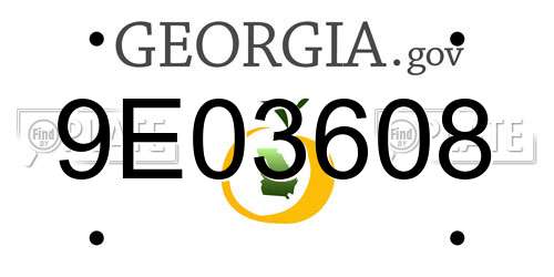 9E03608 Georgia License Plate