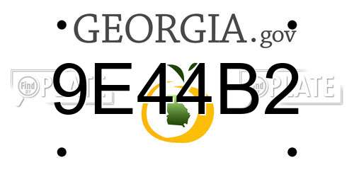 9E44B2 Georgia License Plate