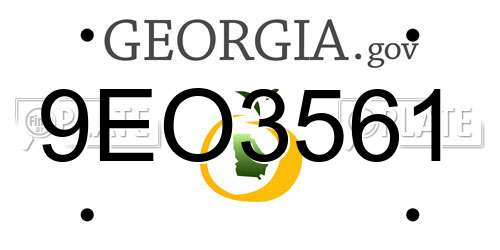 9EO3561 Georgia License Plate
