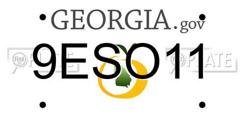 9ESO11 Georgia License Plate