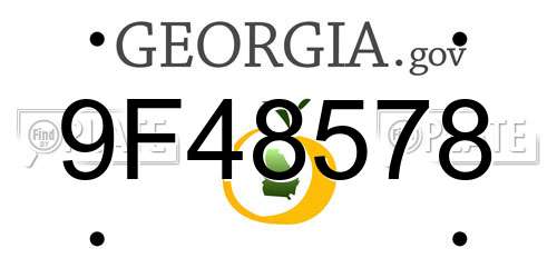 9F48578 Georgia License Plate