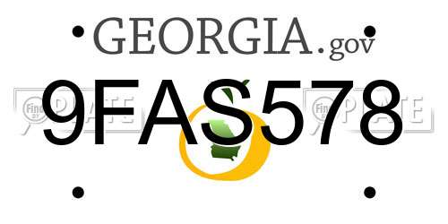 9FAS578 Georgia License Plate