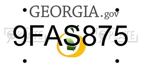 9FAS875 Georgia License Plate