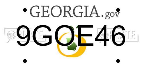 9GOE46 Georgia License Plate