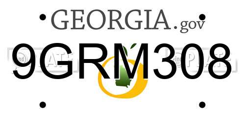 9GRM308 Georgia License Plate