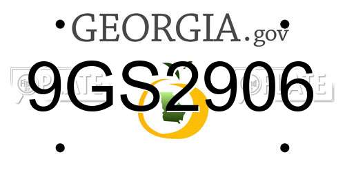 9GS2906 Georgia License Plate