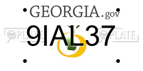 9IAL37 Georgia License Plate