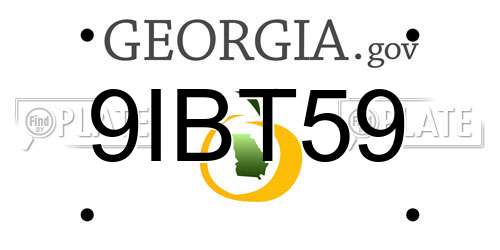 9IBT59 Georgia License Plate