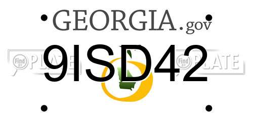 9ISD42 Georgia License Plate
