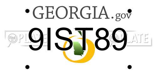 9IST89 Georgia License Plate