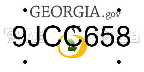 9JCC658 Georgia License Plate