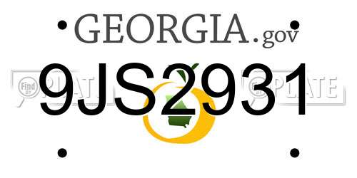 9JS2931 Georgia License Plate