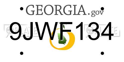 9JWF134 Georgia License Plate