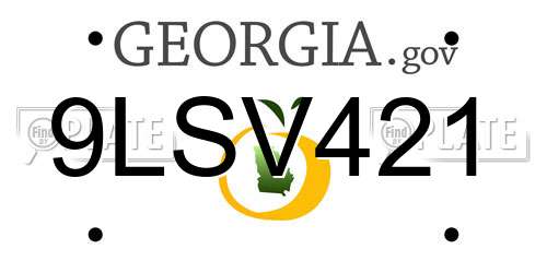 9LSV421 Georgia License Plate