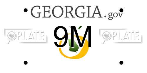 9M Georgia License Plate