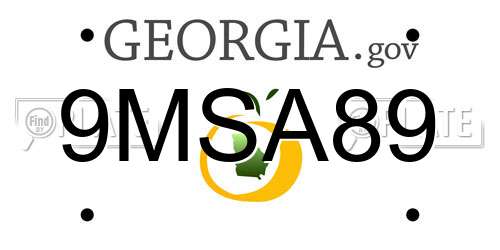 9MSA89 Georgia License Plate