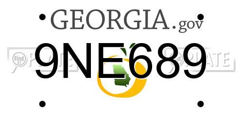9NE689 Georgia License Plate