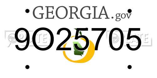 9O25705 Georgia License Plate