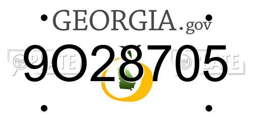 9O28705 Georgia License Plate