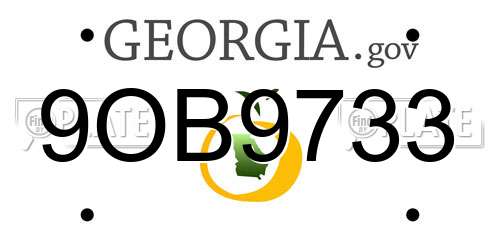 9OB9733 Georgia License Plate
