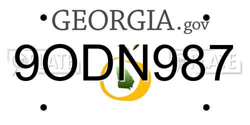 9ODN987 Georgia License Plate