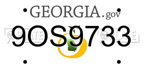 9OS9733 Georgia License Plate