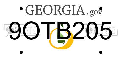 9OTB205 Georgia License Plate
