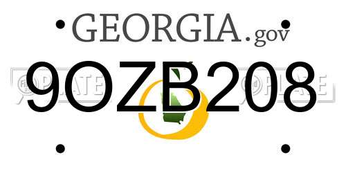 9OZB208 Georgia License Plate