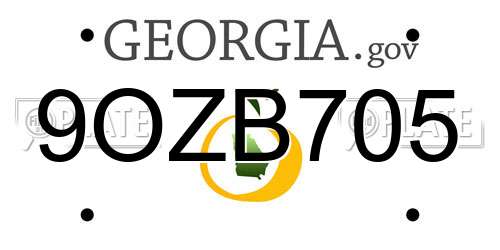 9OZB705 Georgia License Plate