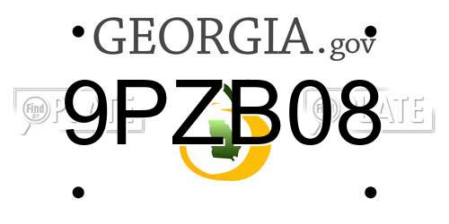 9PZB08 Georgia License Plate