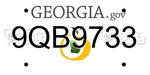 9QB9733 Georgia License Plate