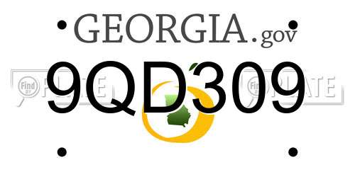 9QD309 Georgia License Plate