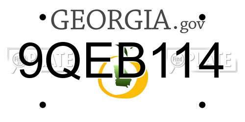 9QEB114 Georgia License Plate