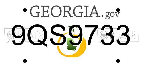 9QS9733 Georgia License Plate