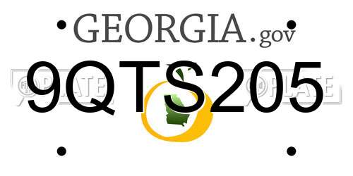 9QTS205 Georgia License Plate