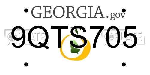 9QTS705 Georgia License Plate
