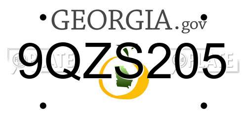 9QZS205 Georgia License Plate
