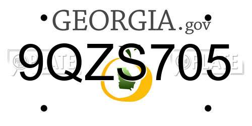 9QZS705 Georgia License Plate