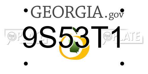 9S53T1 Georgia License Plate