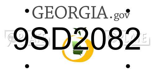 9SD2082 Georgia License Plate