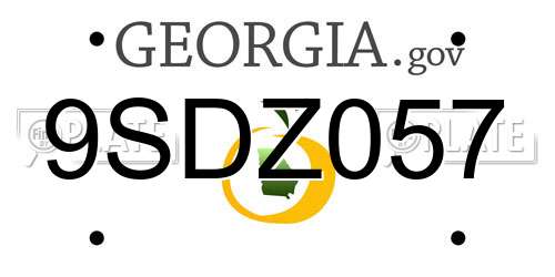 9SDZ057 Georgia License Plate