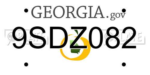9SDZ082 Georgia License Plate