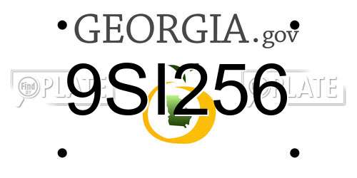 9SI256 Georgia License Plate