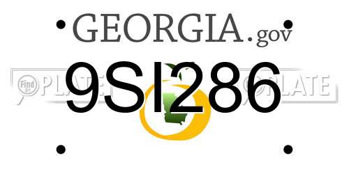 9SI286 Georgia License Plate