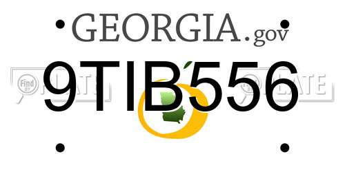 9TIB556 Georgia License Plate