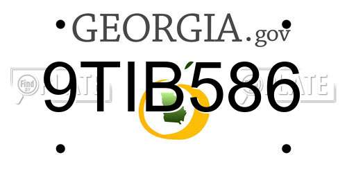 9TIB586 Georgia License Plate