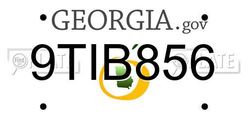 9TIB856 Georgia License Plate