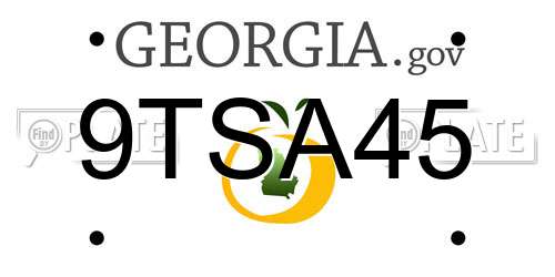 9TSA45 Georgia License Plate