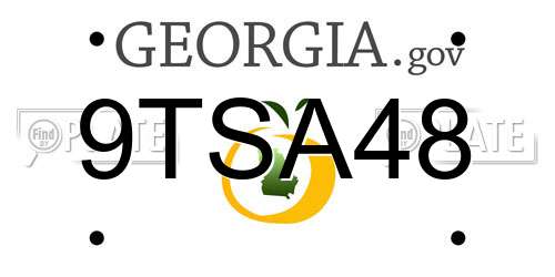 9TSA48 Georgia License Plate